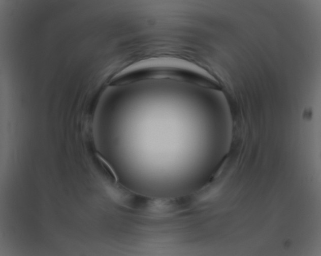 X0000094930141200712131546