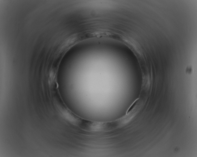 X0000094930142200712131546