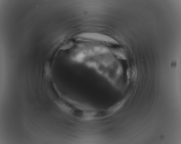 X0000094930143200712131546