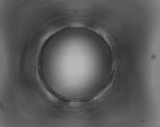 X0000094930145200712131545