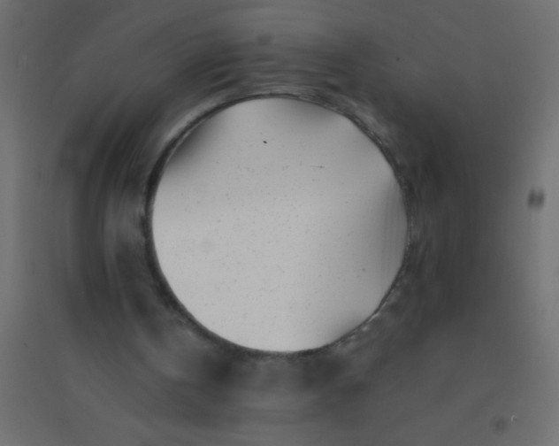 X0000094930146200712131545