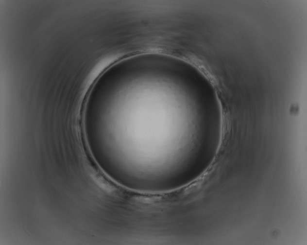 X0000094930147200712131545