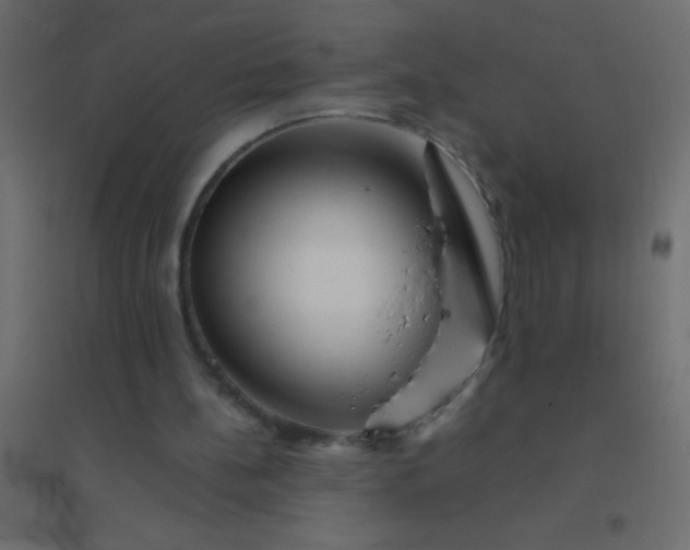 X0000094930148200712131545