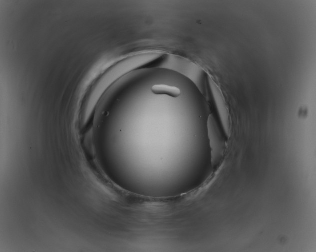 X0000094930150200712131545