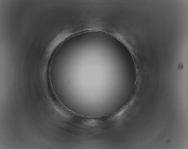 X0000094930151200712131545