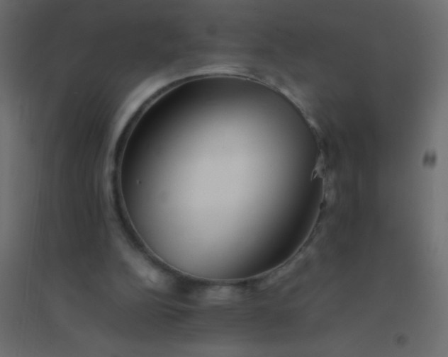 X0000094930152200712131545