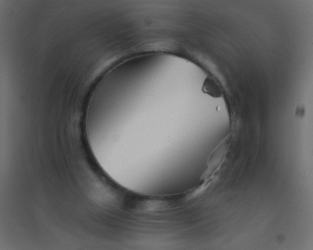 X0000094930154200712131545