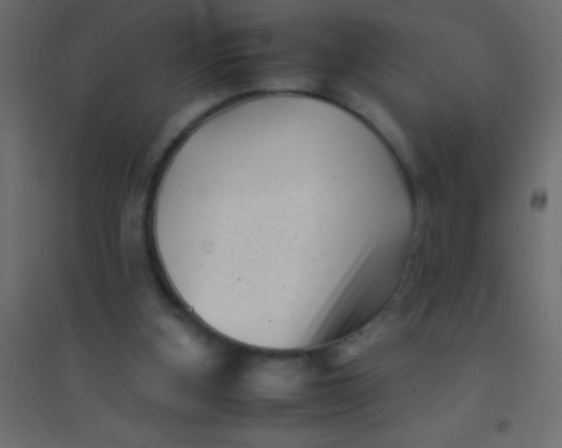 X0000094930155200712131545