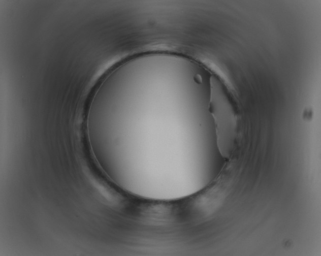 X0000094930156200712131545