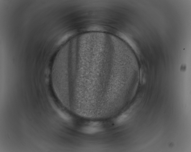 X0000094930157200712131545