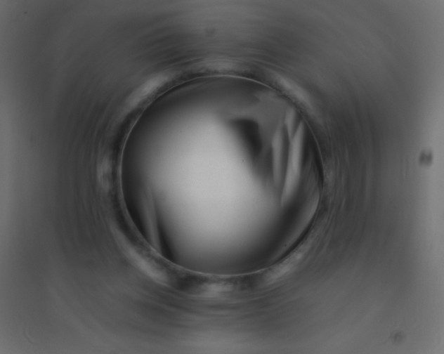 X0000094930158200712131545