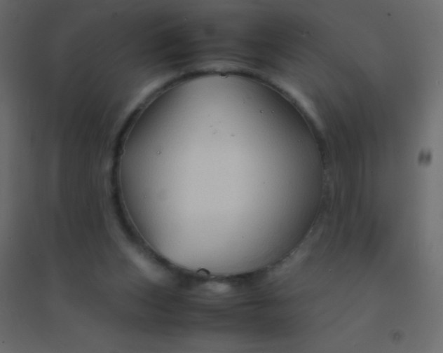 X0000094930159200712131545