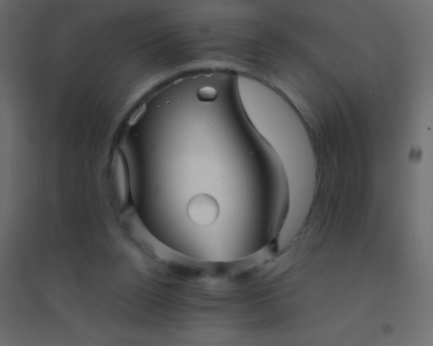 X0000094930160200712131545