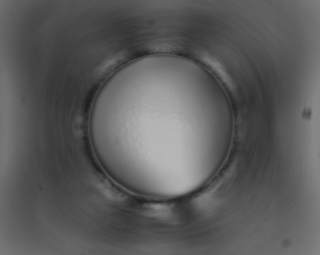 X0000094930161200712131545