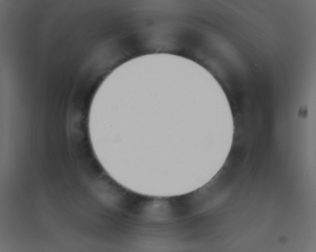 X0000094930162200712131545