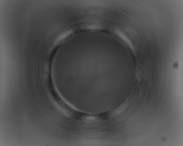 X0000094930163200712131545