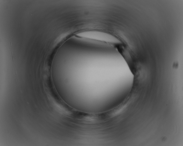 X0000094930164200712131545