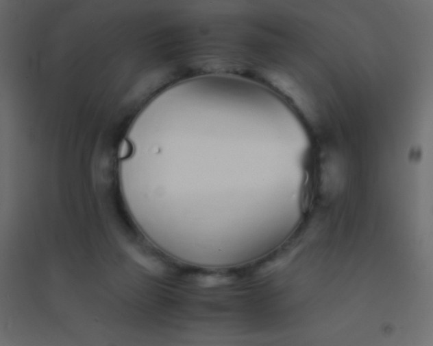 X0000094930165200712131545