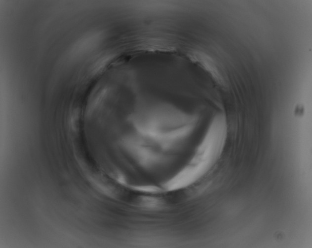 X0000094930167200712131545
