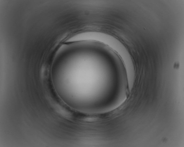 X0000094930168200712131545