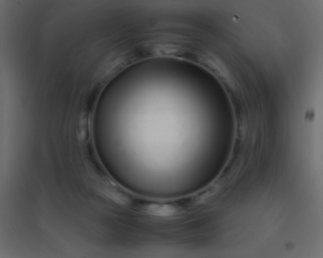 X0000094930169200712131545