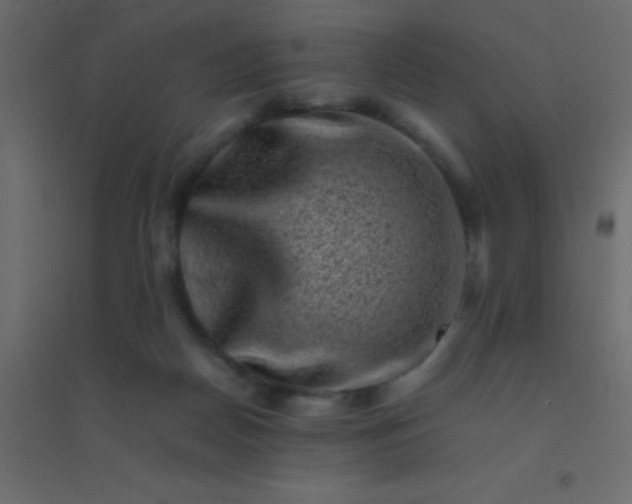 X0000094930170200712131545