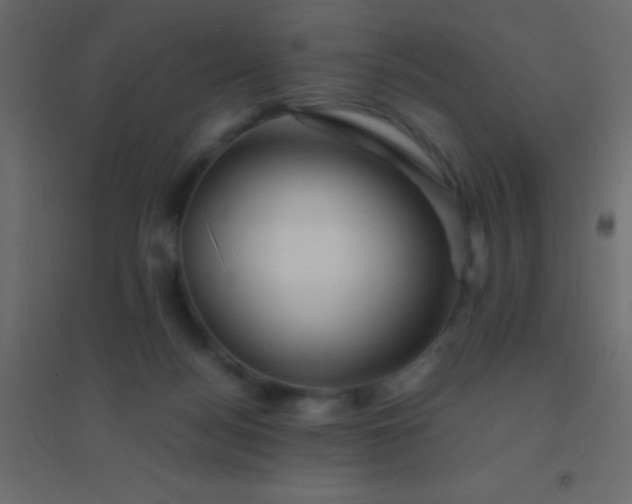 X0000094930172200712131545