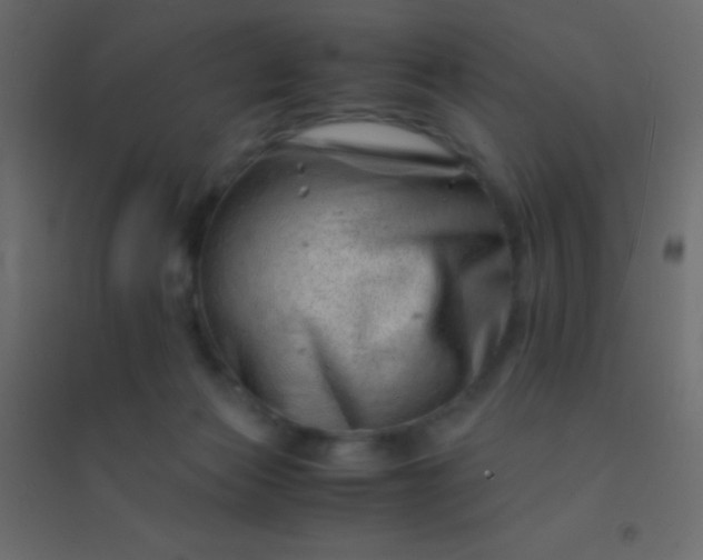 X0000094930173200712131545