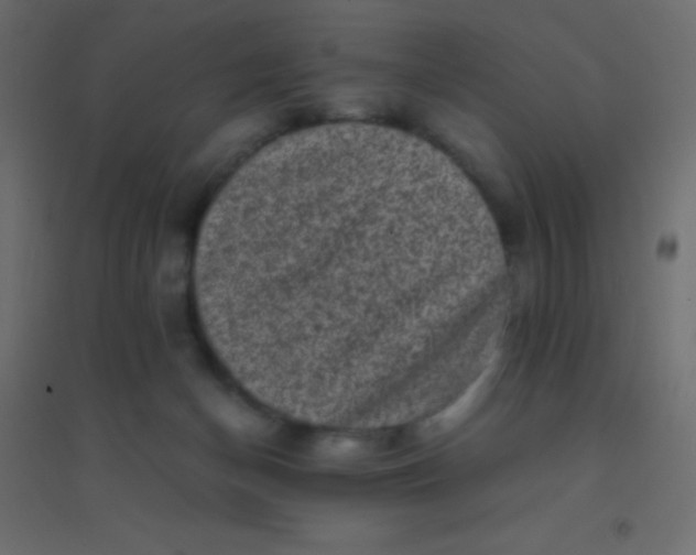 X0000094930174200712131545