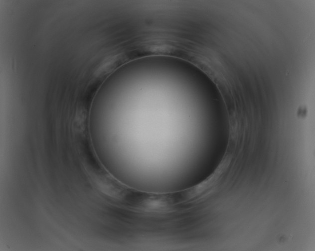 X0000094930175200712131545