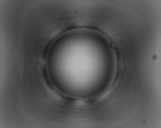X0000094930176200712131545