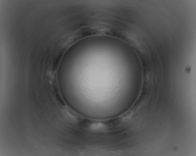 X0000094930177200712131545