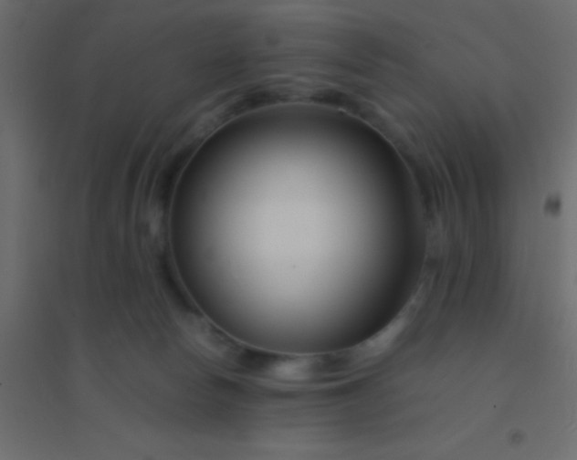 X0000094930178200712131545