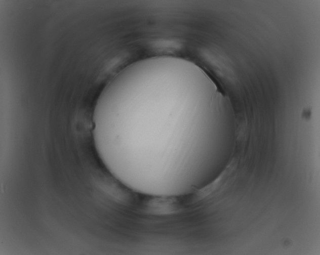 X0000094930179200712131545