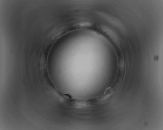X0000094930181200712131546