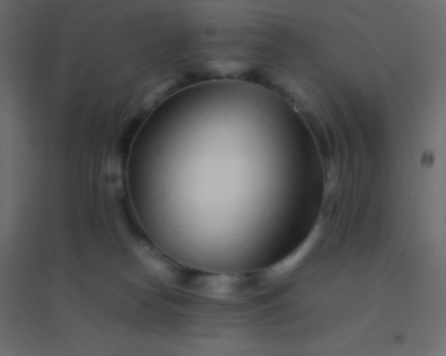X0000094930182200712131546