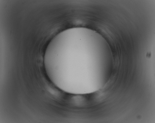 X0000094930183200712131546