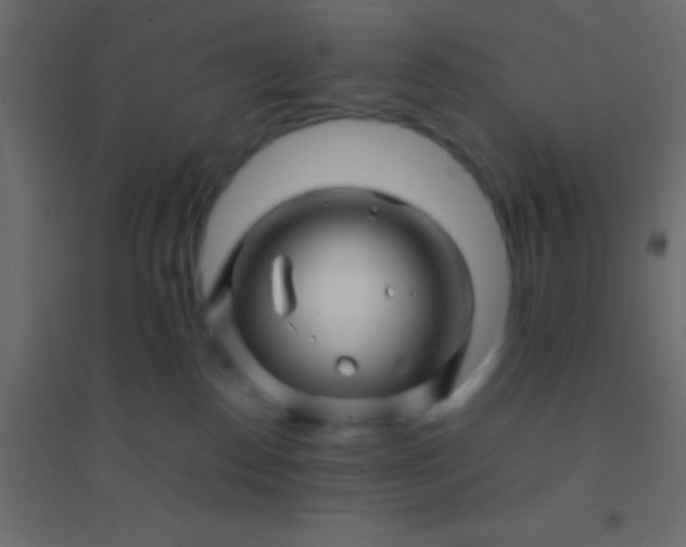 X0000094930186200712131546
