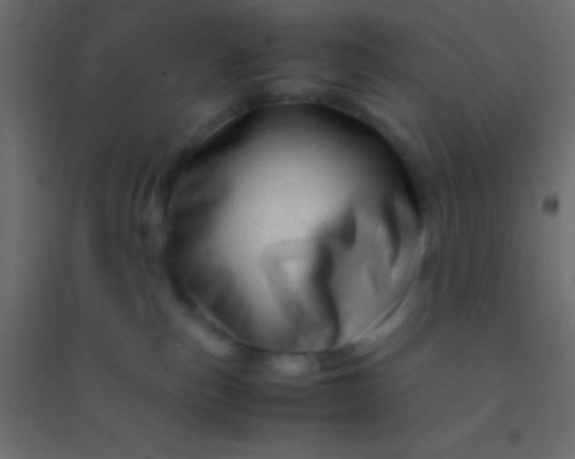 X0000094930187200712131546