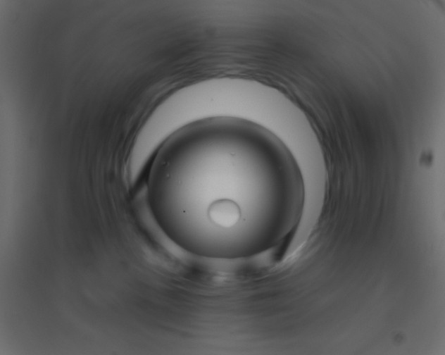 X0000094930188200712131546