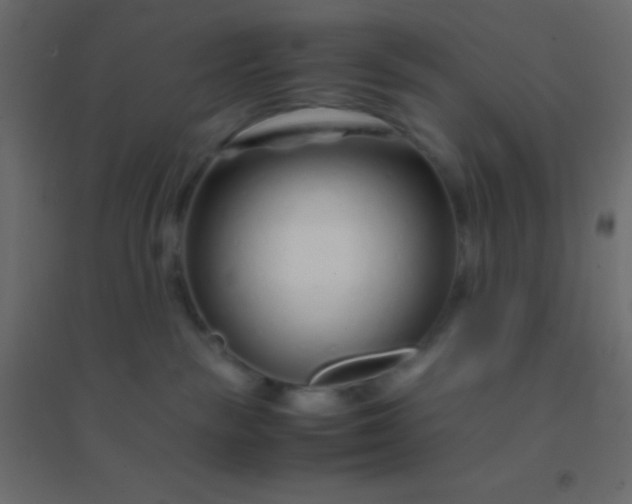 X0000094930189200712131546