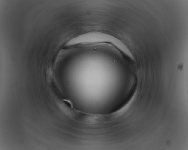 X0000094930190200712131546
