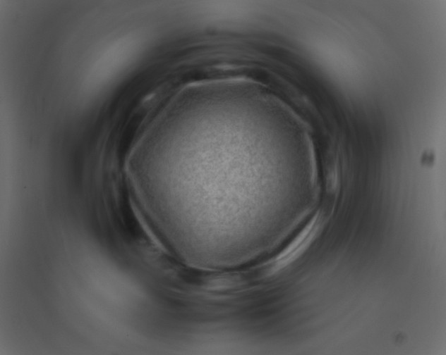 X0000094930191200712131546