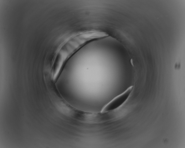 X0000094930192200712131546