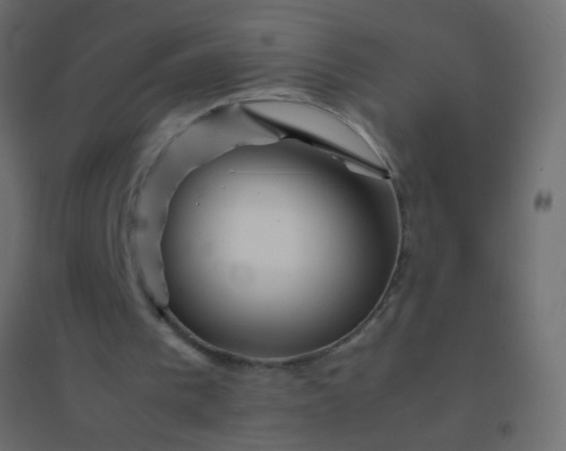 X0000094930193200712131545