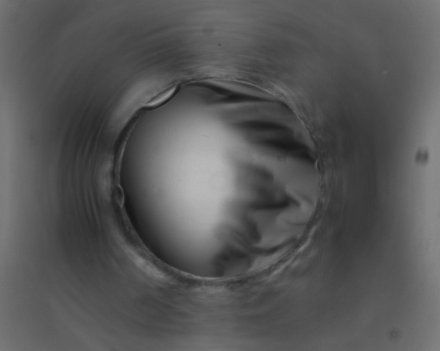X0000094930194200712131545