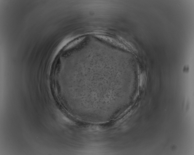 X0000094930195200712131545
