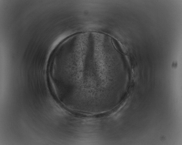 X0000094930196200712131545
