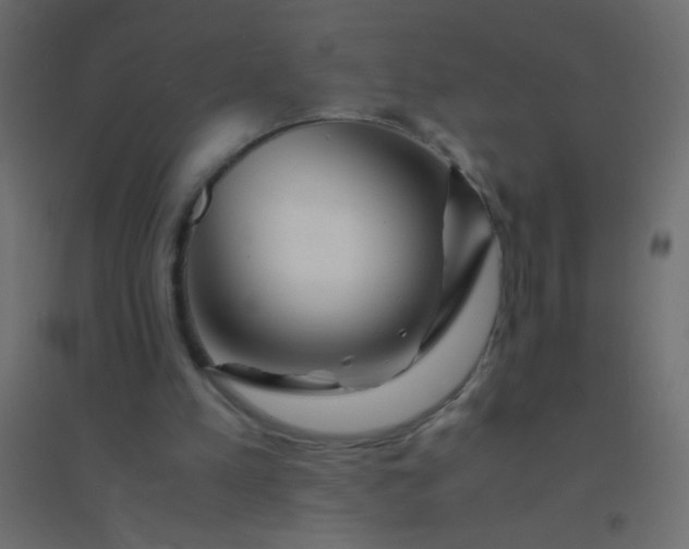 X0000094930197200712131545