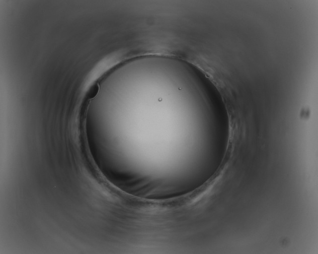 X0000094930198200712131545